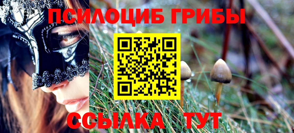 Галлюциногенные грибы Magic Shrooms  Вход с VPN  Псилоцибиновые грибы Psilocybe  Переславль-Залесский 